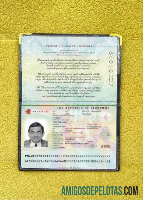 Passaporte do Zimbábue 2023 Presente Photolook exemplo